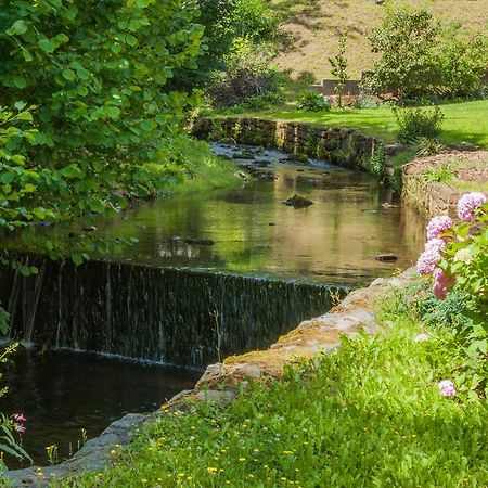L'Etape 9 Bed and Breakfast Klingenthal Εξωτερικό φωτογραφία